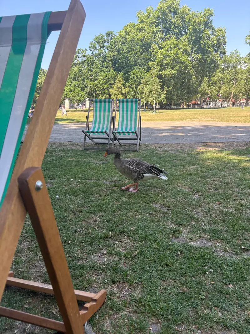 St. James Park photo 1