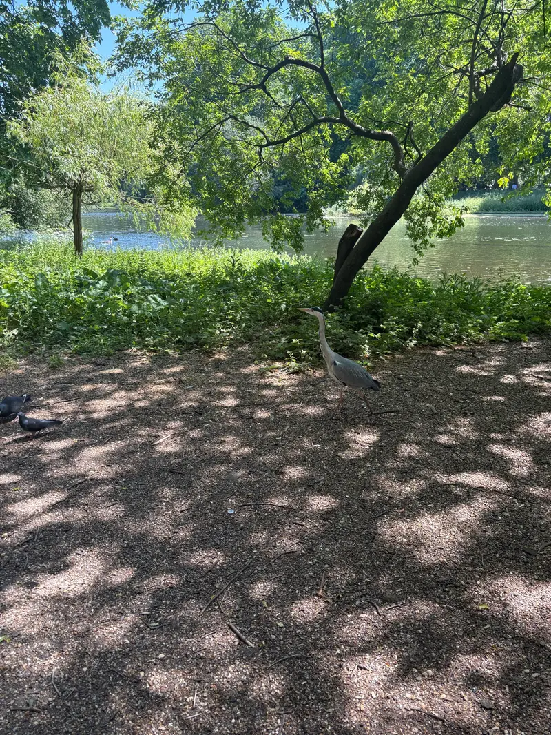 St. James Park photo 3