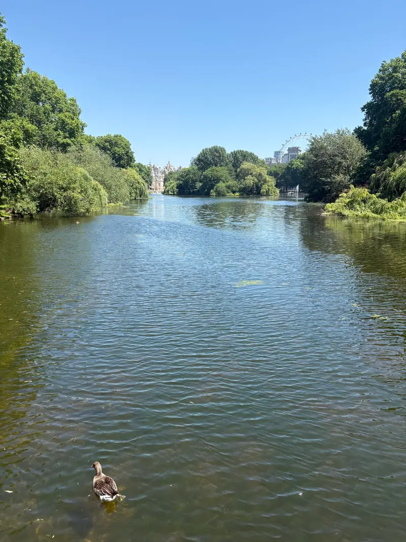 St. James Park photo 5