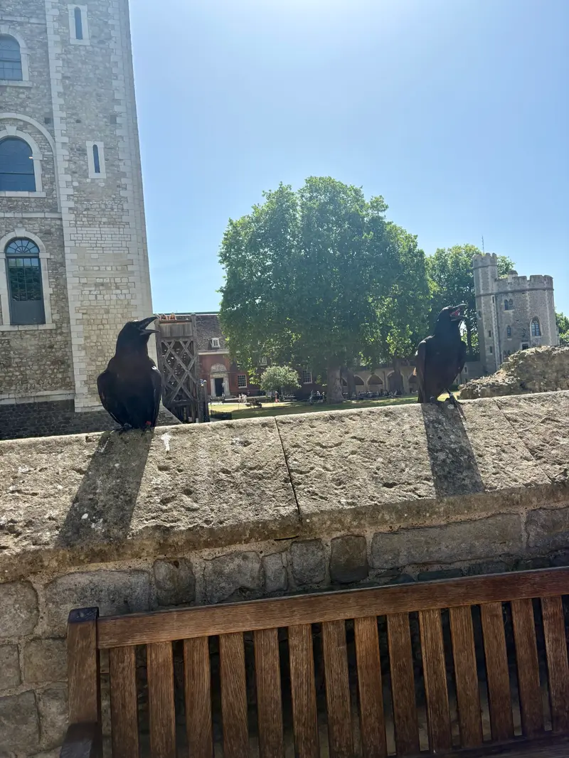 Tower of London photo 6